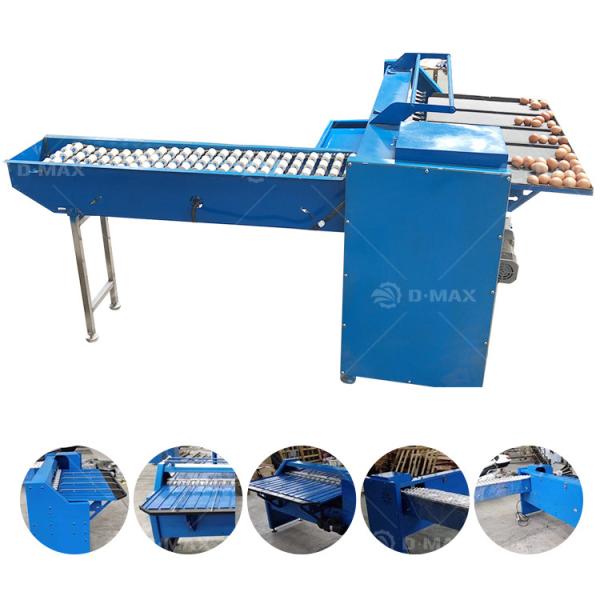 Egg Industry Equipment High Precision Egg Size Grade Washing and Sorting Machine