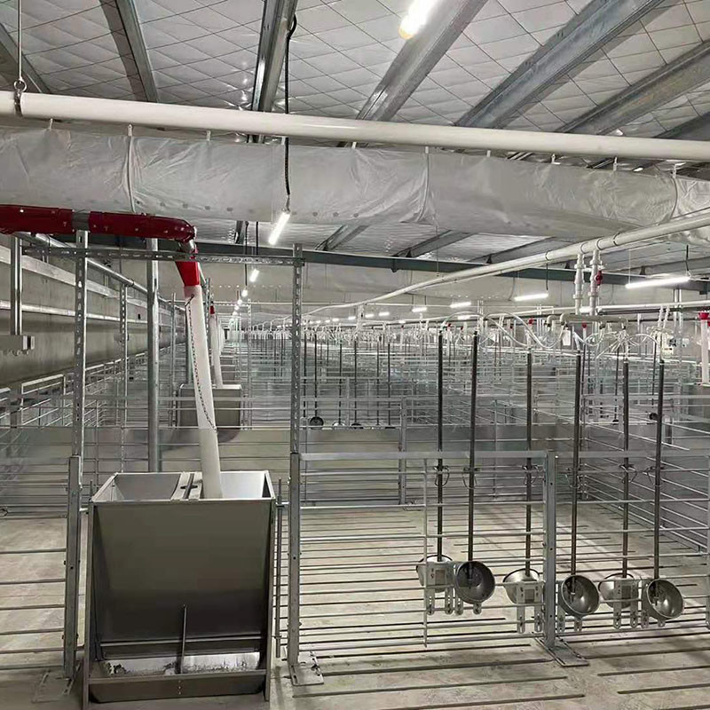 Боров ключа поворота поднимая сверло сельскохозяйственного оборудования Piggery транспортируя с домом