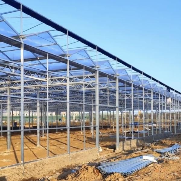 Professional of Drip Irrigation Glass Greenhouse Hydroponic System for Vegetables