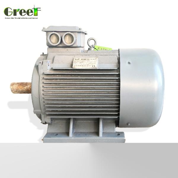 60/50Hz Permanent Magnet Alternator with Fan Cooling for Max.120C