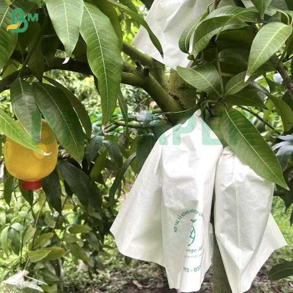 40g 60g White Waterproof Grape Packing Paper Food Grade Tear-Resistant for Fresh Fruit & Cold Chain Logistics 40g 60g White Waterproof Grape Packing Paper Food Grade Tear - Resistant for Fresh Fruit & Cold Chain Logistics