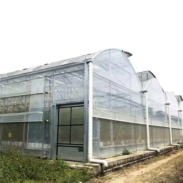Poly Tunnel Plastic Film 200 Micron Multi-span Customized Agricultural Greenhouse