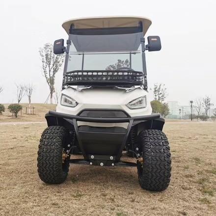 Support Customized Two-Seater Cargo Truck 4kw Aluminum Alloy Carbon Steel Plastic Rear Bucket