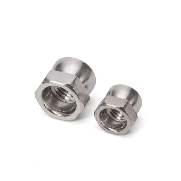 8mm 10mm 12mm 14mm 16mm 20mm 25mm 30mm 35mm 40mm 50mm DIN Standard Stainless Steel Break Off Hexagon Nut for Automotive Industry Efficiency