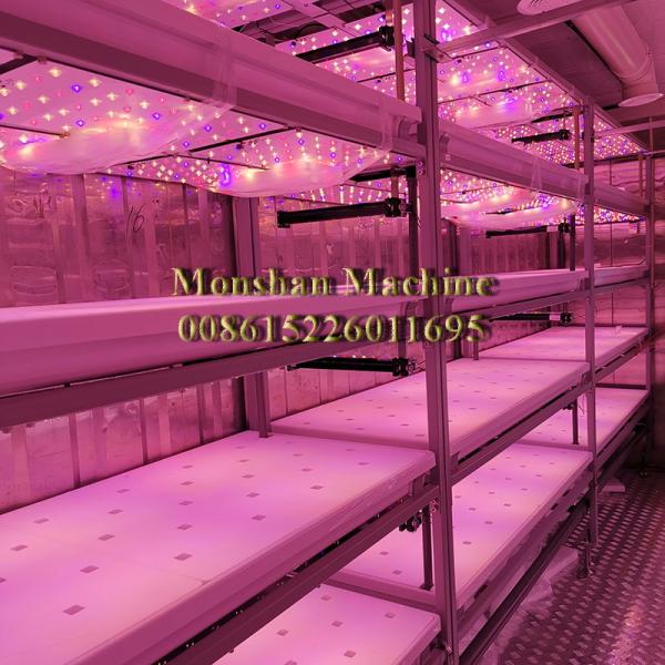 завод салата листовой капусты 150*60cm крытый обрабатывая землю Hydroponic растет камера 3 слоя