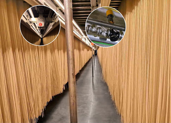 Cadena de producción de los tallarines del palillo del ODM del OEM equipo fresco de los tallarines de 23t/24h