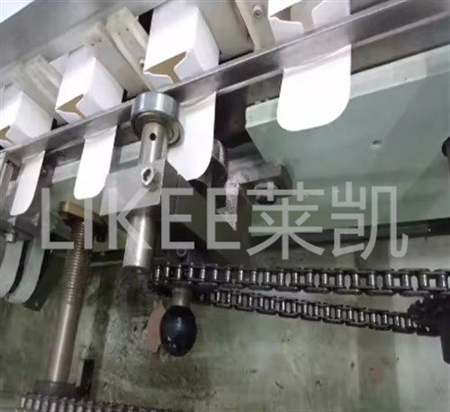 Automatic Cartoning Machine Carton Box Packing