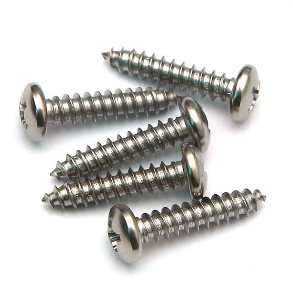SS AISI 410 Stainless Steel Phillips Drive Pan Head Self Tapping Metal Screws AB Thread