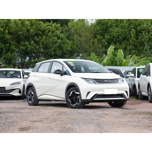 BYD Dolphin 2025 Model 420 Kilometer Pure Electric Edition 5 Doors 5 Seats 4 Speakers Popular Car