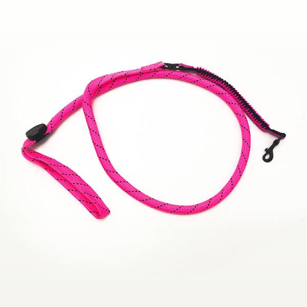 Polyester Webbing LED Light Up Dog Leash Durable 4 Colors Option Customized