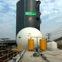 Empresas pequenas do biogás da planta de produção do gerador CNG do biogás