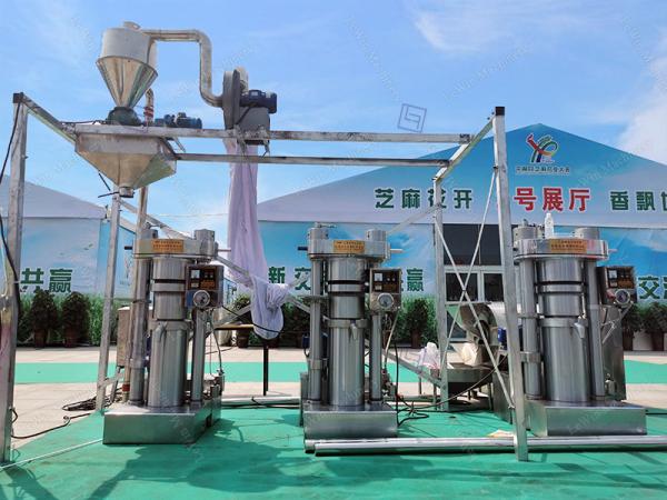 Mostarda da máquina da imprensa de óleo hidráulico e maquinaria frias automáticas do filtro