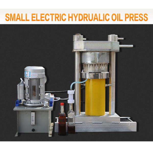 220V/380V Cocoa Oil Expeller Commercial Cocoa Butter Hydraulic Oil Press/ Walnut Oil Press Machine for Cold Hot Pressing