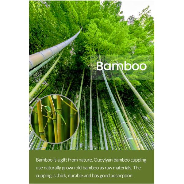 Carbonization Technology Class I Instrument Body Massage Bamboo Cupping Therapy Cups