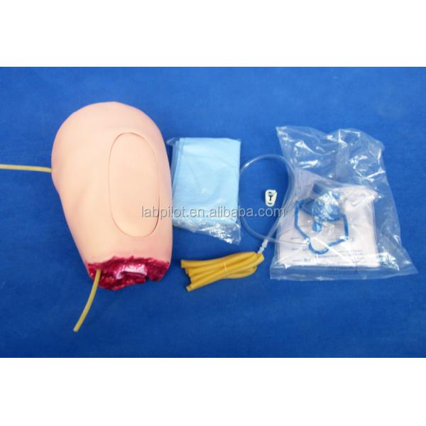 Advanced PVC Model The Ideal Solution for Lower Limb Trauma Thigh Amputation Nursing