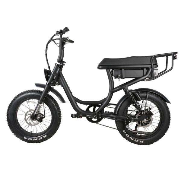 Rear Hub Motor Braking System 20 Inch 1000w High Power Electric Fatbike for Adults