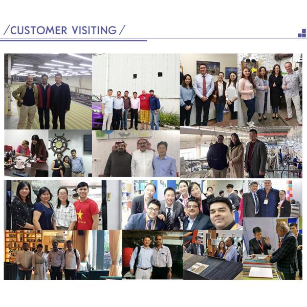 5.5lb Pile Weight Custom Logo Mats for Modern Living Room Carpets and Nylon Pile