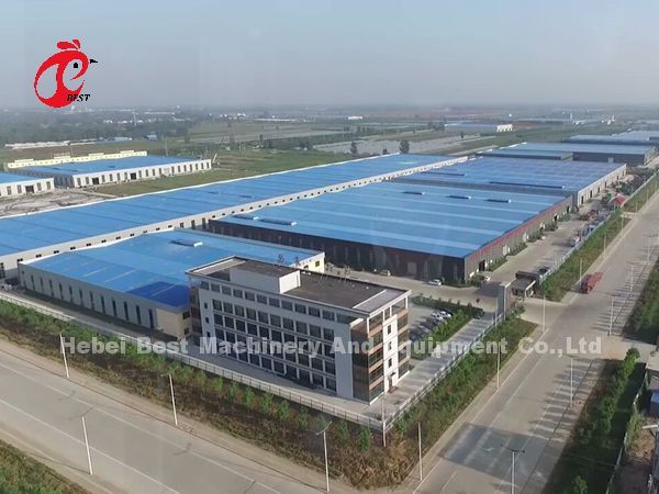 Тип автоматическая кладя система h клетки сельского хозяйства птицы цыпленка в радужке рынка Африки