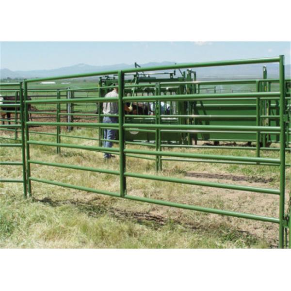 Heavy Duty Farm Gate Fence / Powder Coated Metal Cattle Gates Color Customized