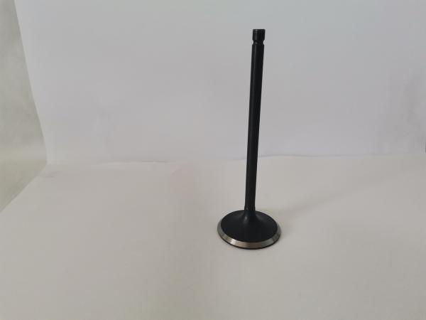 Automotive Engine Intake Valves For Ford Ecosport / Mondeo 2.0l 16v 3094ac