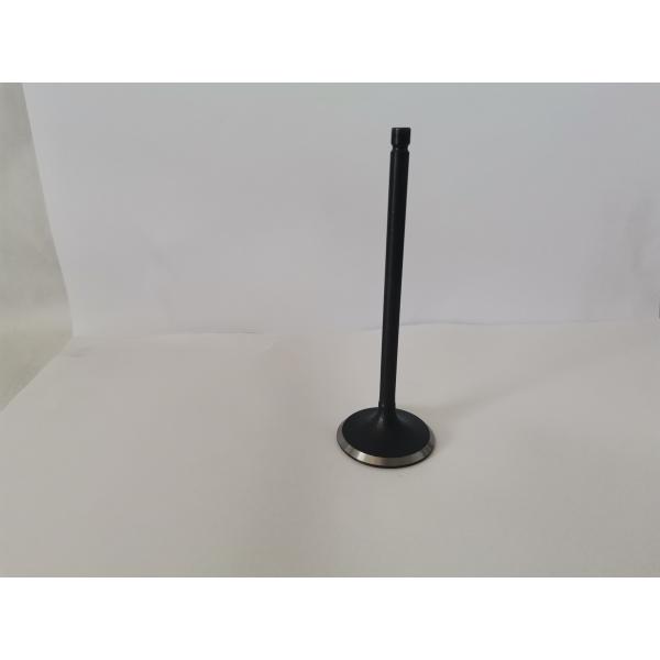 Automotive Engine Intake Valves For Ford Ecosport / Mondeo 2.0l 16v 3094ac