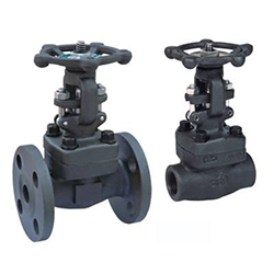API DIN JIS Forged Steel Flange Gate Valve with A105 Material for -10-200℃ Temperature Range