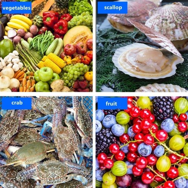 Air Bubble Industrial Fruit And Vegetable Washing Machine 220/380v