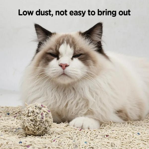Long-Lasting Freshness Dust Free High Absorption Mixed Cat Litter Multi Fragrance