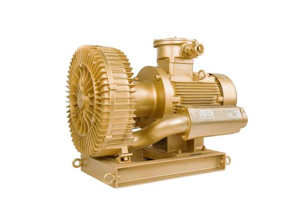 5.5KW 7.5hp Explosion Proof Vacuum Pump For Biogas Plant Wiht Inner Tefelon Blower