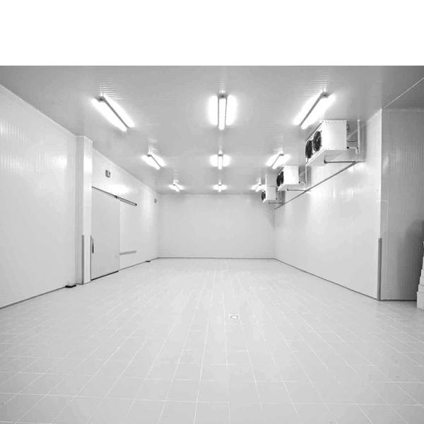 Design personnalisé de chambre froide réfrigérateur pour une gestion précise de la température