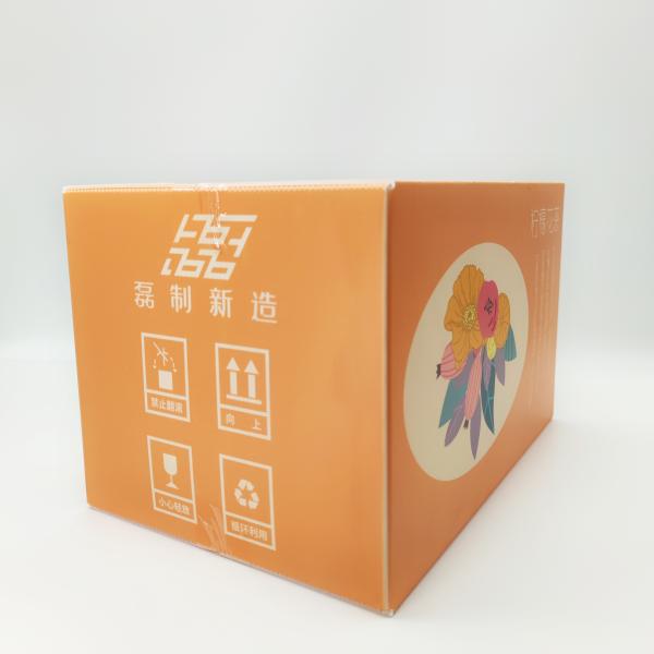 2mm UV Flatbed Corrugated Plastic Carton Custom Printed
