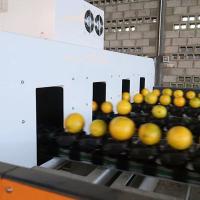 Eficiência Redefinida Máquina de Seleção Laranja Com Tecnologia de Aprendizagem Profunda de IA