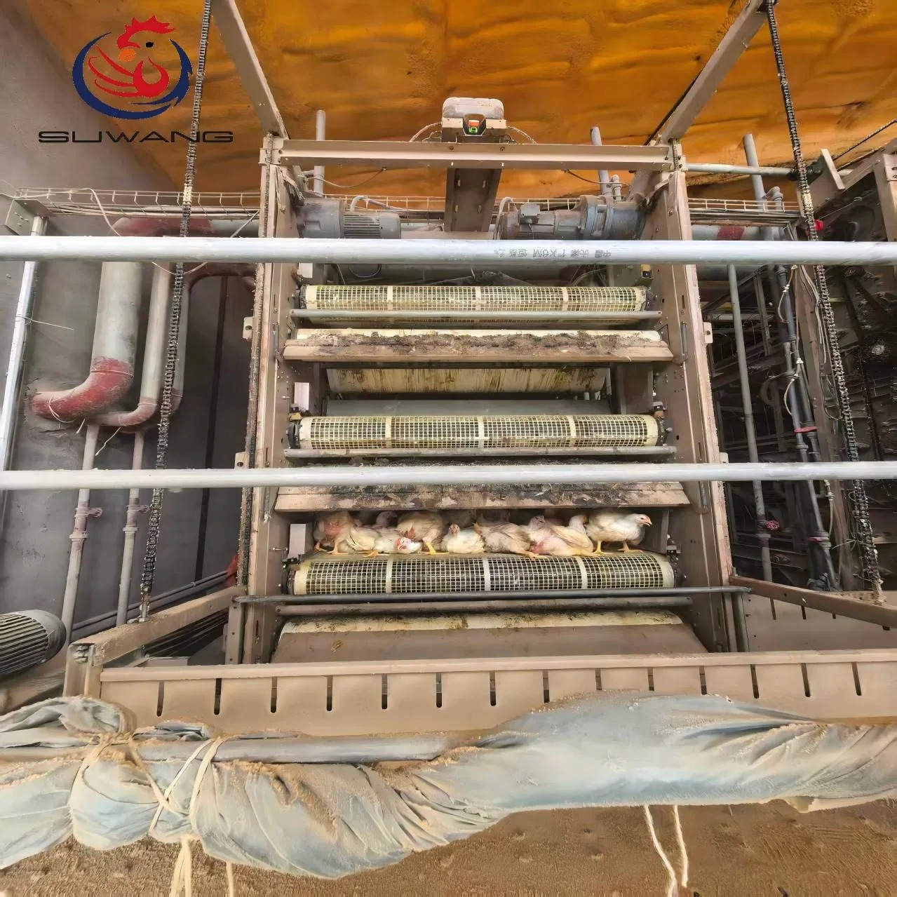 Automatic Chain Type Broiler Cage Equipment Chicken Harvest Cage For Poultry Farming