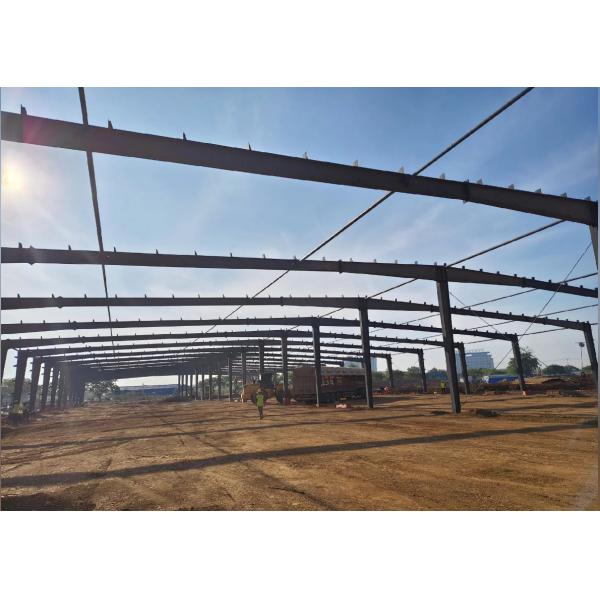 High-intensity durable prefabricated steel structure custom farm breeding shed building