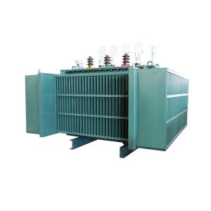 2500kVA 10kV Oil Immersed Distribution Transformer S(B)22-NX1 Energy Efficiency Level 1