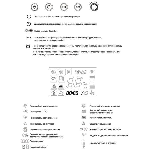 Luxurious Appearance Wall Hung Gas Boiler With LCD Display Radiator Burning Style