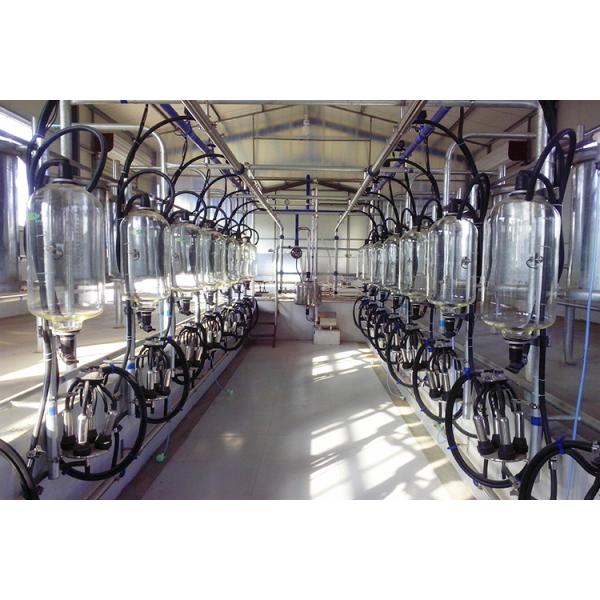 SS Herringbone Milking Parlor