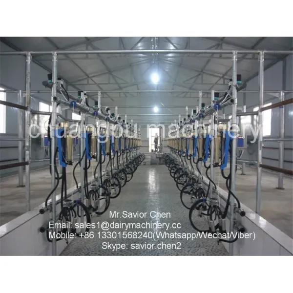 Herringbone Structure Cow Milking Machine with Waikato Milk Meter and CE ISO SGS FDA Certification