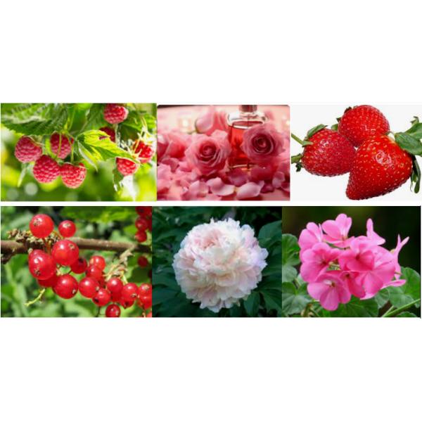 Free Sample Super Red Classic Fragrance For Diffuser Reed Sticks Scented Candles