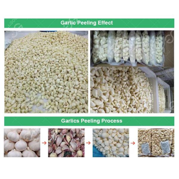 CE certified commercial Garlic Separating Peeling Packaging Production Line Garlic Peeler Machine Project