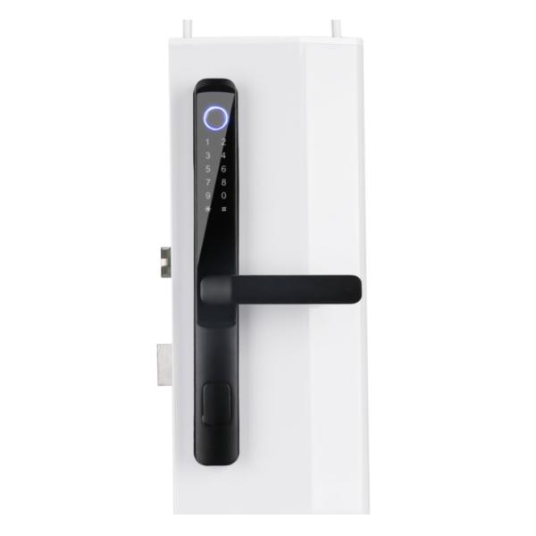 Smart Wifi Biometric Smart Lock Tuya Smart Home App Remote Control Anywhere 3D Face Smart Fingerprint Locks E-H105