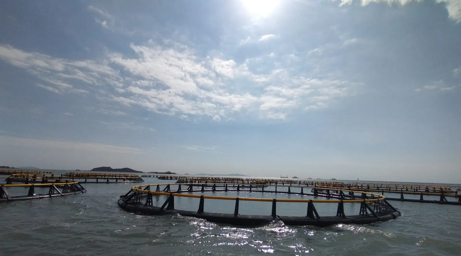 Boost Your Aquaculture Yield: HDPE Fish Cage With Significant Production Growth