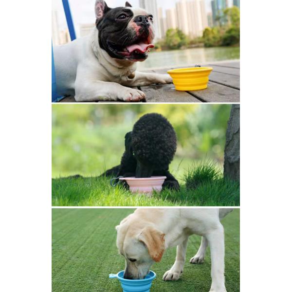 Воды кошачьей еды шара воды собаки силикона Hallupets шар собаки складной изготовленный на заказ