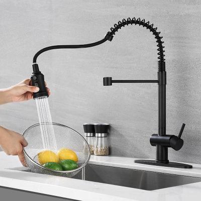 Robinet simple en laiton commercial d'évier de cuisine de trou avec le pulvérisateur d'avancement du film