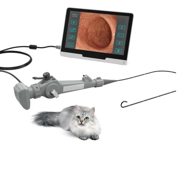 equipamento médico veterinário Gastroscope veterinário de 250mm para Cat Dog Horse