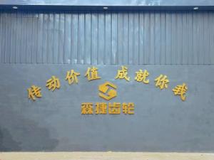 Hunan Dinghan New Material Technology Co., LTD
