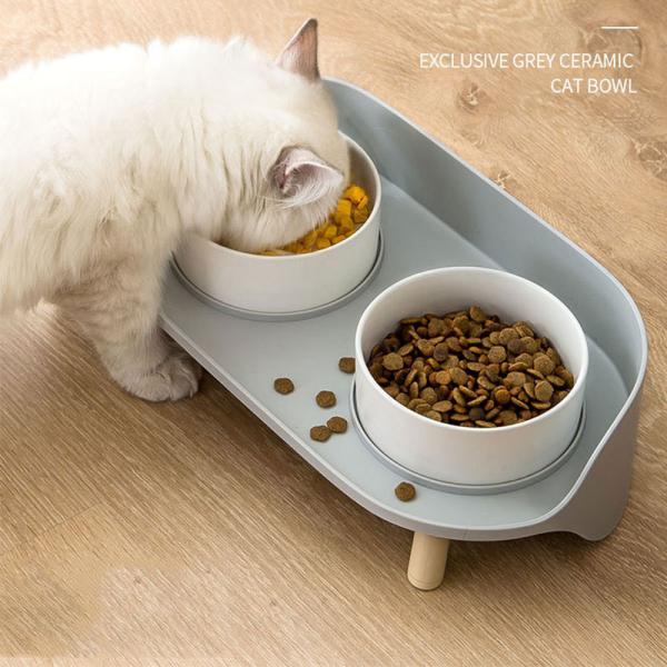 NO Time Setting Elevated Ceramic Pet Bowls for Cats and Dogs Custom Porcelain