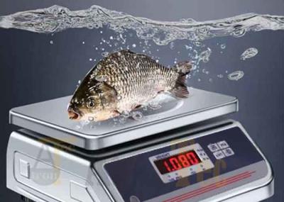 Rechargeable 20kg Waterproof Weighing Scale Pieces Counting