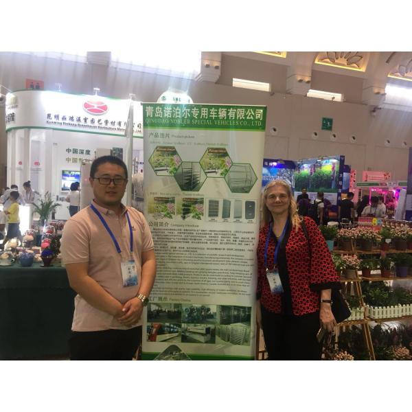 Цветок провода Японии вагонеток завода парника сваренный садовым центром кладет тележку на полку