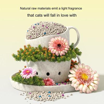 Eco Friendly Bentonite Cat Litter Pet Suppliers Dust Free Bulk Ball Shape Clumping